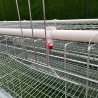 Cage à poules pondeuses de type H à 4 niveaux avec courroie de nettoyage du fumier à manivelle, cage en batterie pour élevage avicole