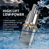Hot Sale Farm Low Power Tauch-Mini Smart Clean Water Well Pumping Russische Taucher-Vibrations pumpe