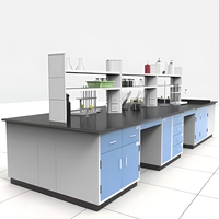 Prix d'usine, banc de travail de laboratoire chimique, taille personnalisée, mobilier de laboratoire, 1 ensemble