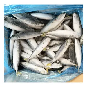 Taille 6-8 pcs par kg Light Catch Fresh IQF Frozen Pacific Mackerel