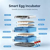 Incubadora y Nacedora Automática Profesional para Huevos de Ganso y Pato, de Plástico, 220V, con una Tasa de Incubación del 98%