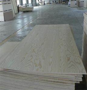 Contrachapado de pino CIMBRA <span class=keywords><strong>URUGUAYA</strong></span> PTS 12mm 15mm 18mm - Product Image 3
