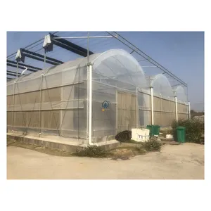 Complete plastic film agricultural greenhouse turnkey project with quick construction