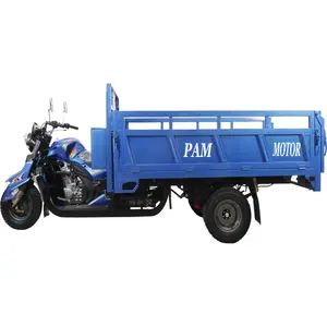 Triciclo de carga de motocicleta de tres ruedas, rickshaw de carga de 250cc, 5 ruedas con precio barato