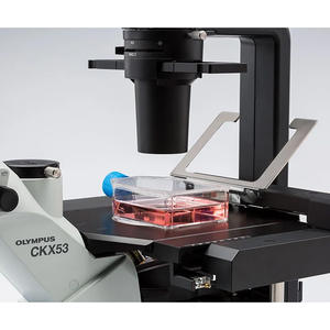 Microscope inversé Olympus CKx53 pour la culture cellulaire et l'imagerie de cellules vivantes avec condenseur à longue distance de travail - Product Image 6