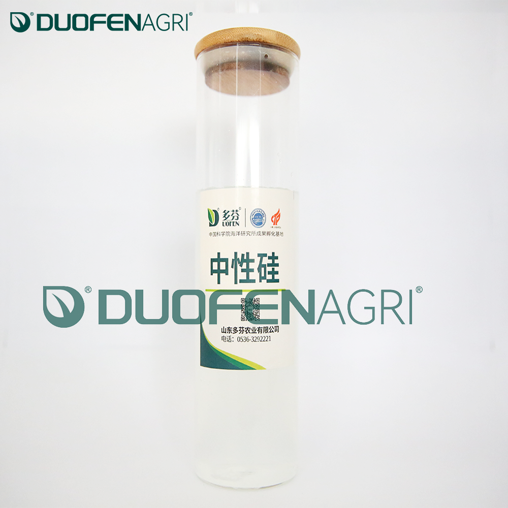 100g/L Liquid Silicon Fertilizer 100% Water Soluble OEM image 2