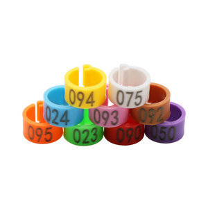 ห่วงติดขาสำหรับนกพิราบสัตว์ปีกขนาด8*7มม. หลากสี - Product Image 4