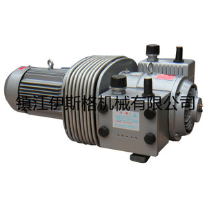 ปั๊มลม Isge ZYBW140B 5.5kw ปั๊มสุญญากาศเหล็กหล่อสำหรับอุปกรณ์ทดสอบ - Product Image 1
