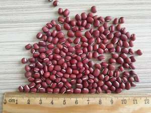 Venta al por mayor de Frijoles <span class=keywords><strong>Adzuki</strong></span> Rojos Pequeños Secos de 4.5-6.0 mm, Frijoles Vigna a Granel, Frijoles <span class=keywords><strong>Adzuki</strong></span> - Product Image 3