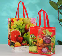 Herbruikbare Biologisch afbreekbare Non-Woven fruit-shoppertasjes met aangepast logo, digitale bedrukking, gesealde handvatten, promotionele reclame