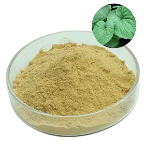 Herbasea Wholesale Bulk Kava Root Extract 10% 30% 70% Kava Extract Kavalactone Kava Extract Powder