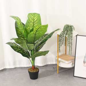 Albero Artificiale di Difennbachia Sempreverde, Pianta Finta in Plastica 90CM, Verde, Ecologico, Durevole, per Uso Interno, Quasi Naturale - Product Image 4