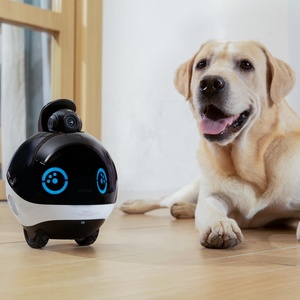 Livraison gratuite aux États-Unis - Robot intelligent Enabot Ebo X - Garde de la maison - Compagnon pour animaux de compagnie - Robot de soins aux personnes âgées - Surveillance <span class=keywords><strong>mobile</strong></span> à domicile - Product Image 5