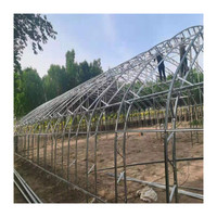 Dernière Technologie Couverture de Serre Monospan pour l'Agriculture Légumière Serre Tunnel Commerciale avec Matériau en Film