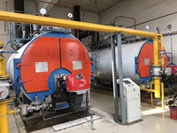 Chaudière à vapeur industrielle chinoise Caldera De Vapor 10 20 30 80 100 150 300 400 800 1000 Bhp Hp