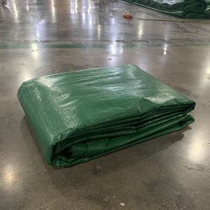 Bâche en PE VERT Haute Résistance Grande Capacité Couleurs Personnalisées Tailles Personnalisées Imperméable Revêtement Extérieur - Product Image 1