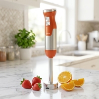 Mixeur Plongeant Électrique 1000W, Corps en Acier Inoxydable, 2 Vitesses, Contrôle Progressif, Ergonomique, Multifonctionnel