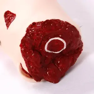 DARHMMY高度な完全機能医療科学外傷トレーニングのための外傷ケアマネキン - Product Image 5