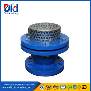 ปั๊มสูบน้ำประกอบ <span class=keywords><strong>Mizu</strong></span> 2 4นิ้วแบบแมนนวลพร้อมวาล์วแบบเท้าติดตั้ง - Product Image 4