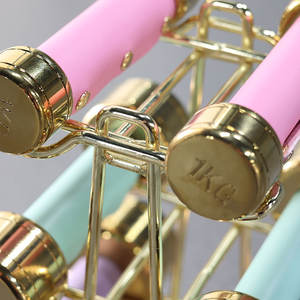 مجموعة دمبل ذهبية مستديرة من الفولاذ من سمارت فيت بوزن 12 كجم مع حامل، وأوزان 1 كجم و2 كجم و3 كجم، مع غطاء مقبض جلدي ملون للنساء والأطفال - Product Image 6