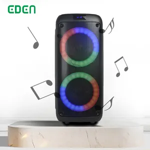 EDEN Latest ED-613 Hot Sale Outdoor Active Party Box Speaker Dual 6.5 Inch Flashing Fire Light Party Audio Speaker Sound Box