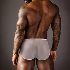 2024 Hot Sales Sexy ADANNU Ice Silk Summer <strong>Clear</strong> Gay Boy Personality Man's Breathable Elastic Transparent Nylon <strong>Brief</strong> Underwear - Product Image 2