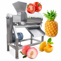 Commerciële tomatenpulper-afwerkmachine voor de productie van ketchup en puree, met aangepaste zeef- en spanningsopties
