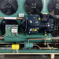 Solution professionnelle de stockage frigorifique - Unité de condensation semi-hermétique -30°C avec support R507