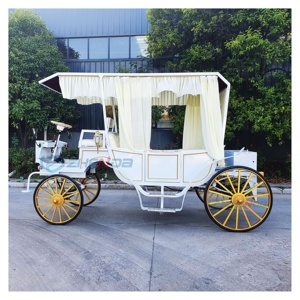 Chinese Antique Sightseeing Horse Customized Cinderella Wedding Travel Carriage Tourism Natural Carriage - Product Image 3