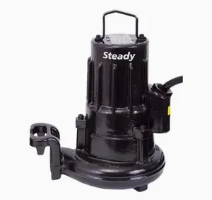 ปั๊มน้ำไซเลม รุ่น steady1305 1.2KW 1310 1.7 2.4 1315 4.4 - Product Image 3