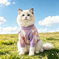 Pull en tricot pour chien et chat Bear Argyle, vêtements pour animaux de compagnie