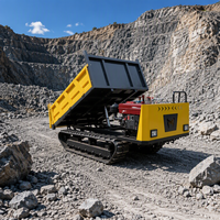 Dumper sur chenilles hydraulique de haute qualité avec grue, 2 tonnes, 3 tonnes, 4 tonnes, petit dumper sur chenilles avec moteur diesel