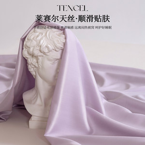 Lyocell Ice Silk Cooling <b>Bed</b> Sheet Set Single <b>Double</b> Pillowcase Solid Color Summer 2026 Reactive Dyeing 40 Sticks - Product Image 5