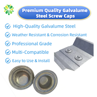 Customized Size Metal Waterproof Surface Treatment 35mm Roof Fastener Metal Cap for Roofing Screw-100 Package Carton or Bags