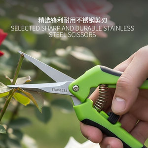 Lu Ban's Work Garden Shears 4-Piece Set Stainless Steel Manual Pruning Tools For Fruit Flower Tree Branch Cutting - Product Image 4
