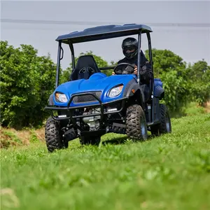 China Electric UTV 4wd Factory Direct Sale