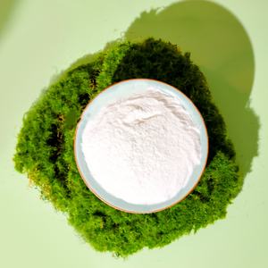 Cosmetici materia prima 99% spugna idrolizzata Micro ago spugna Spicule polvere - Product Image 1