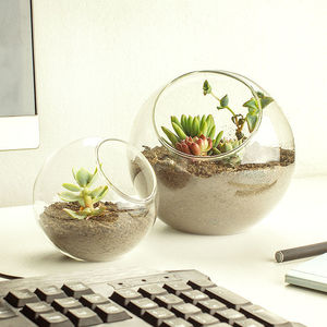 Classico vetro trasparente terrario vaso Slant Cut bolle ciotole per la decorazione per la casa di pesci frutta contenitori di <span class=keywords><strong>piante</strong></span> - Product Image 1