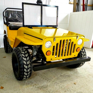 Vehículo Todoterreno de Cuatro Asientos ATV para Adultos, Cuatro Ruedas, Motor de 350cc y 4 Tiempos, 60V, Automático/Semiautomático - Product Image 1