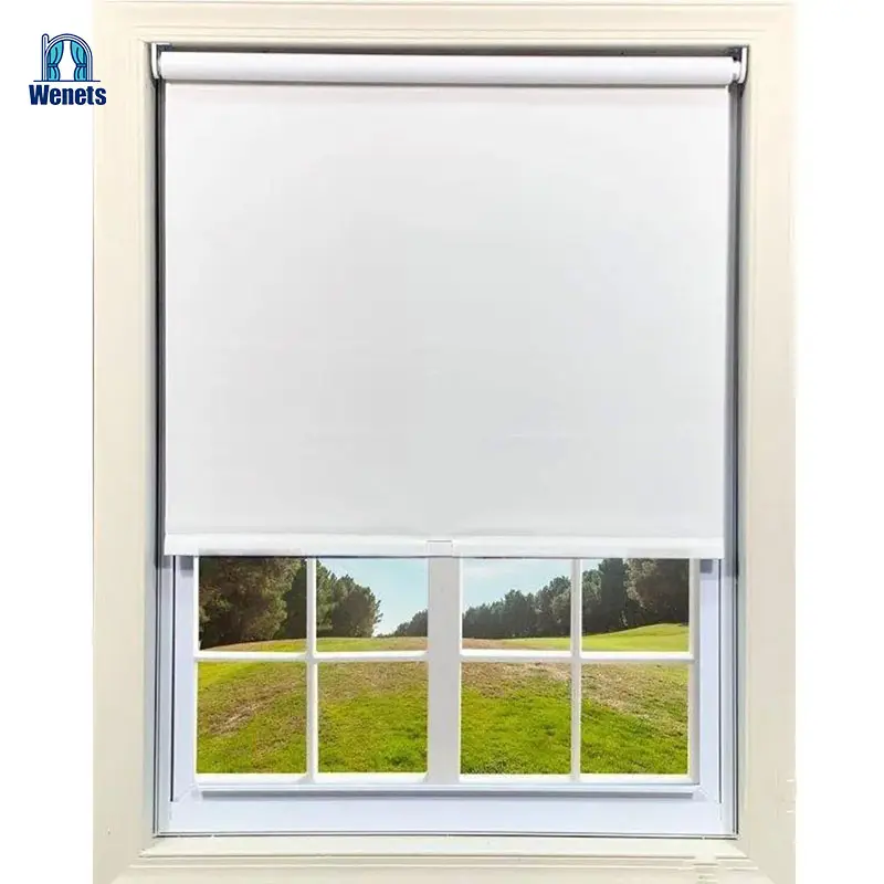 Blackout Roller Window Shades Blinds with Thermal Insulated Waterproof Fabric For Home And Office
