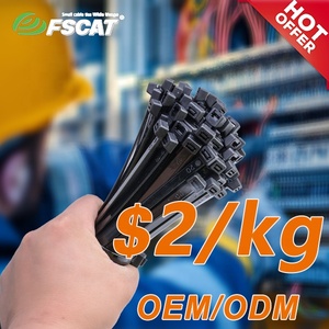 ربطة عنق بسحاب ذاتية الغلق لـ UL CE ROHS معتمدة من نايلون من أجل أجل التطبيقات الكهربائية - Product Image 3