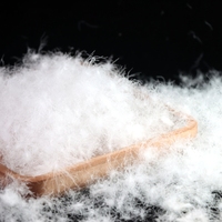 Duvet de canard blanc de qualité nationale à 90 %, garnissage haute pureté pour vestes d'hiver adultes/enfants, approvisionnement flexible