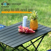 Table de camping pliable en acier carbone pour l'extérieur, table de pique-nique, table de barbecue, mobilier d'extérieur pour 2 à 4 personnes