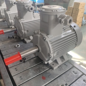 1.5kw כדי <span class=keywords><strong>30kw</strong></span> מנוע אינדוקציה אסינכרונית 60hz 50hz 50 הרץ עם 220v 380v מתח AC מהירות 2800 סל "ד
