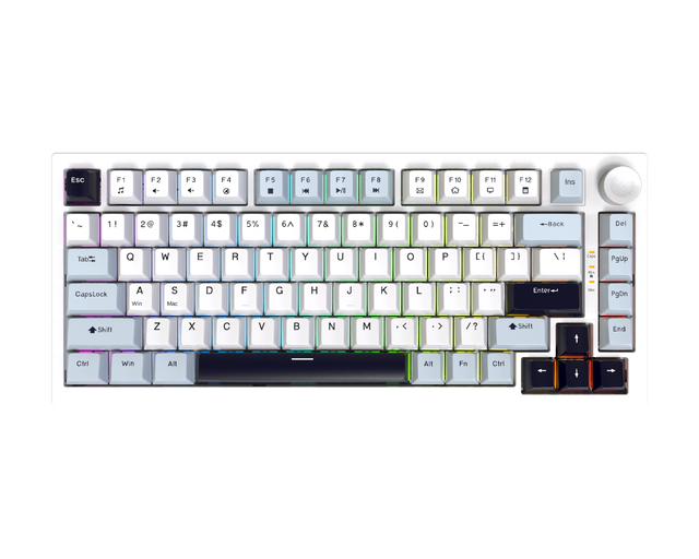 Triple Modes RGB Backlit Gaming Keyboard for PC Laptop Gasket Hot Swappable with High Visibility for Gaming or Office Use