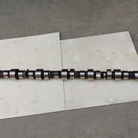 Pièces de moteur diesel pour machines, fourniture d'usine, arbre à cames 6C 6CT 6CTA 3923478 3934167 3934168 pour moteur Cummins