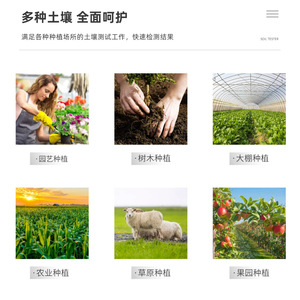 เครื่องวัดดินสามในหนึ่งเดียว หัววัด 200 มม. วัดความชื้น ค่า pH และแสง สำหรับสวน กระถางต้นไม้ และการเพาะปลูก - Product Image 4