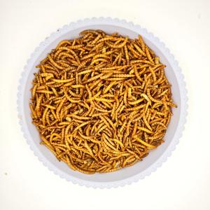 Insectenproteïnebron voor pluimvee, kippen en vogelvoer: gedroogde meelwormen - Product Image 2
