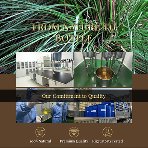 Aceite de Vetiver 100% Puro y Natural al por Mayor, Precio para Aceite de Masaje Corporal, Cuidado de la Piel, Grado Superior - Product Image 5