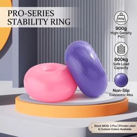 Ballon de stabilité gonflable professionnel en PVC épaissi, antidérapant, 44 cm/17 pouces, pompe incluse, pour la physiothérapie et le fitness à domicile